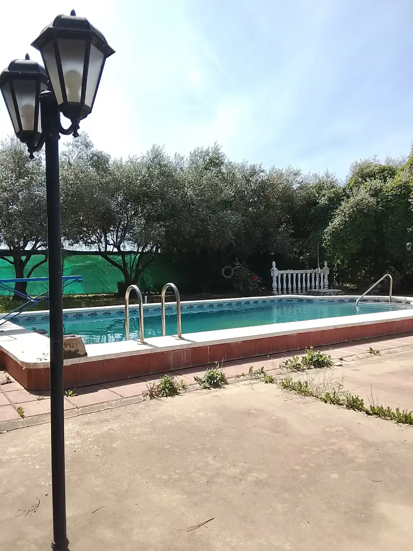 Swimming pool of Houses for sale in Córdoba  with Air Conditioner, Private garden and Terrace