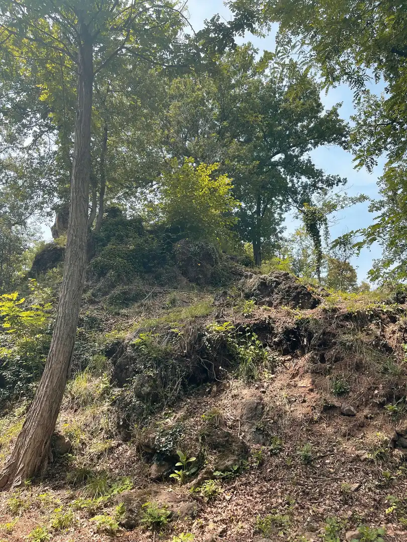 Residential land for sale in Olot, imagen 7