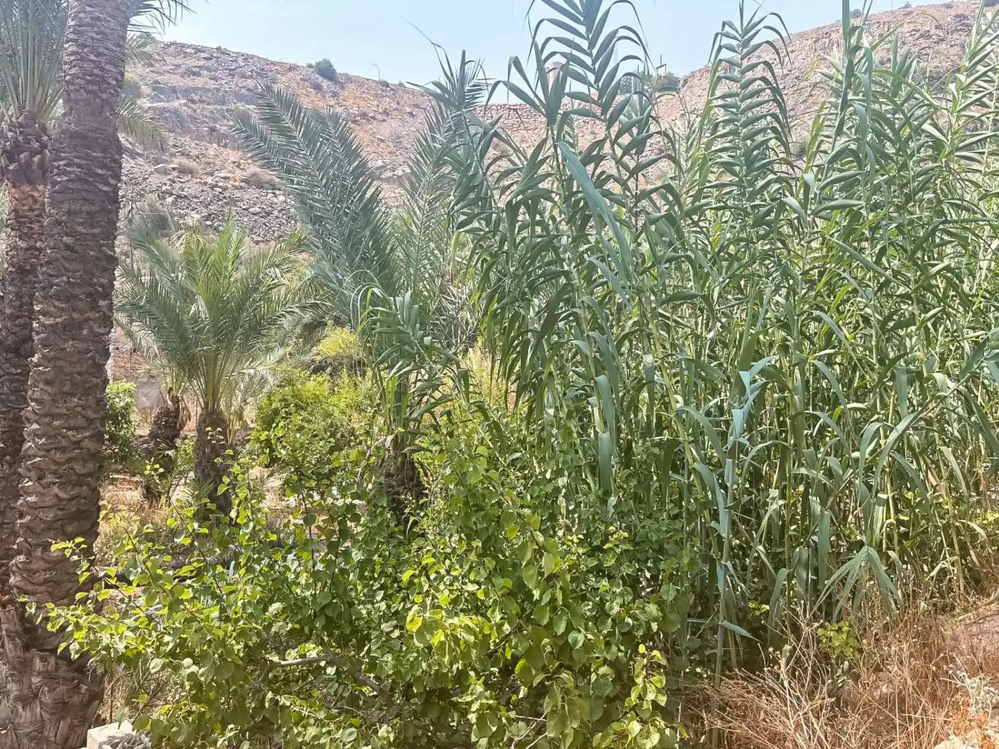 Xalet amb piscina en venda a Montepinar - La Aparecida - Raiguero, imagen 31