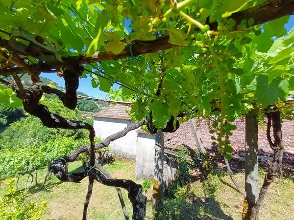 Haus mit Garten zum Verkauf in Rua Vilanova, imagen 19