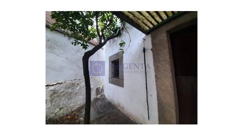Foto 2 de Casa o chalet en venta en Malpartida de Cáceres, Cáceres