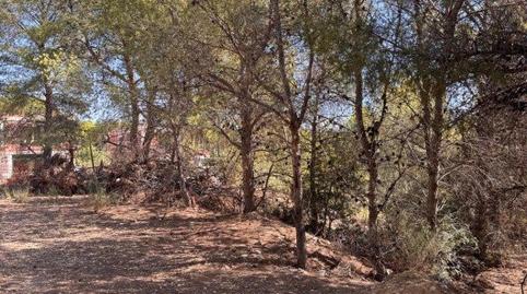 Foto 4 de Residencial en venda a N/a, -1, Golf Bahía, Alicante