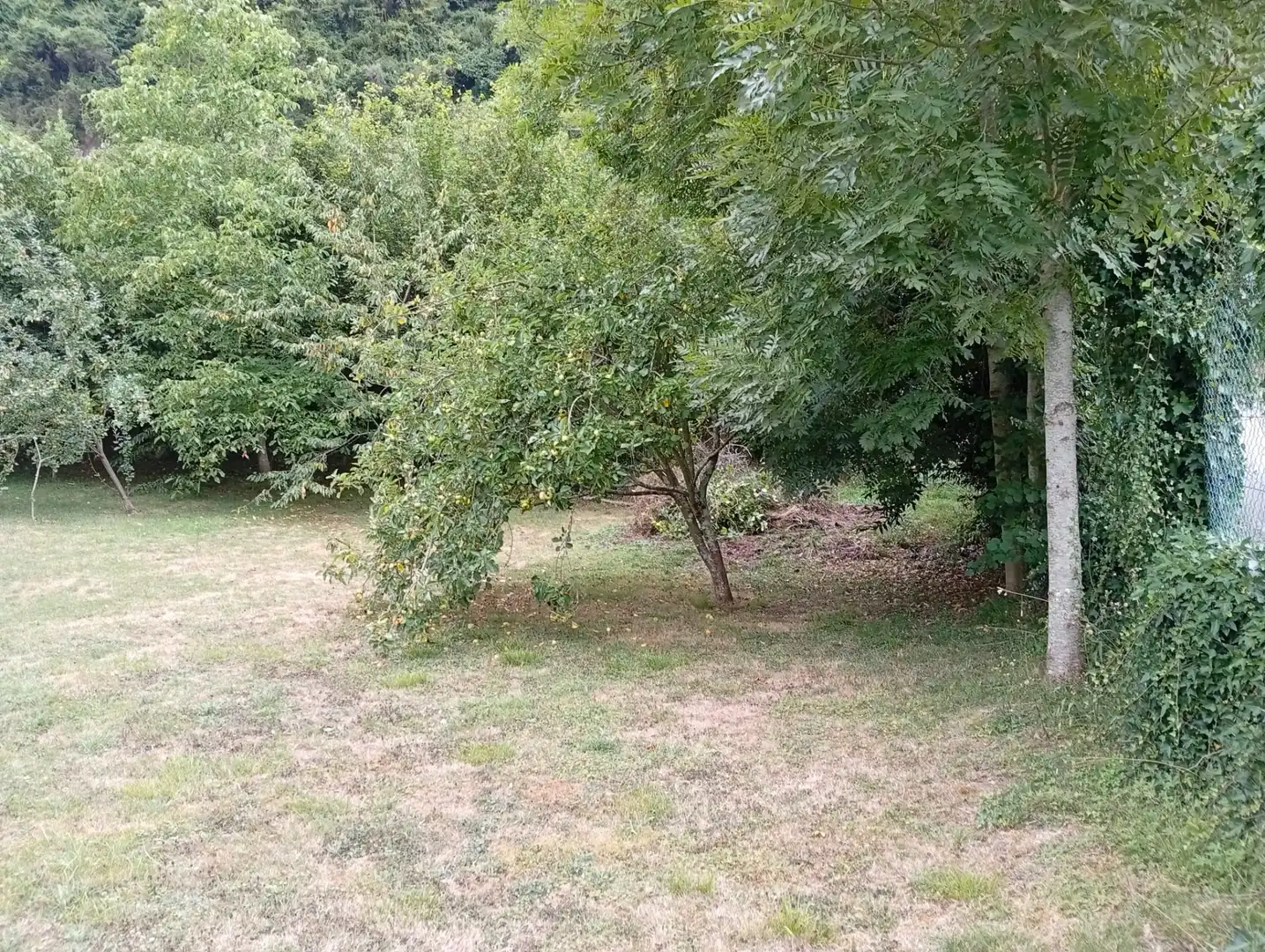 Terreny rústic en venda a Camín de la Xía 686, imagen 20