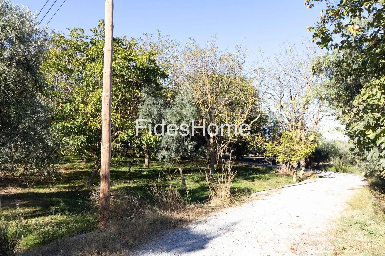Rural land for sale in XFC2+47H Acequias 0, imagen 2