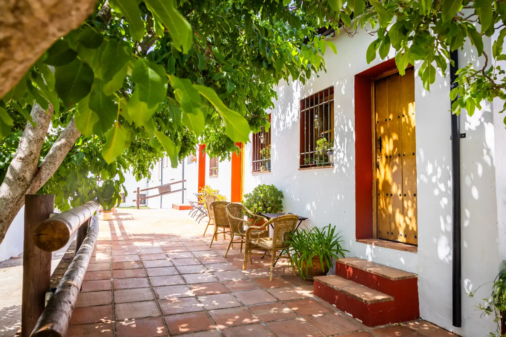 Vista exterior de Finca rústica en venta en Montejaque con Aire acondicionado, Jardín privado y Terraza