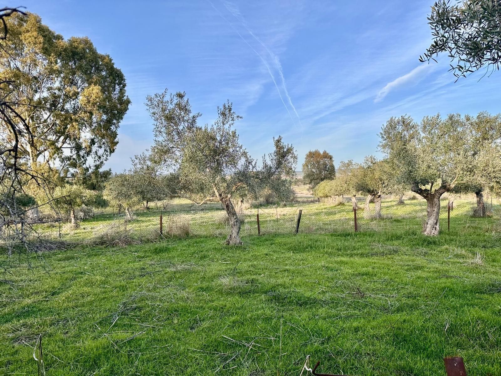 Country homes for sale in Peñarroya-Pueblonuevo  with Private garden, Storage room and Swimming Pool