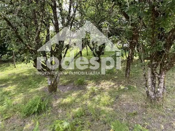 Rural land for sale in Lamela, imagen 10