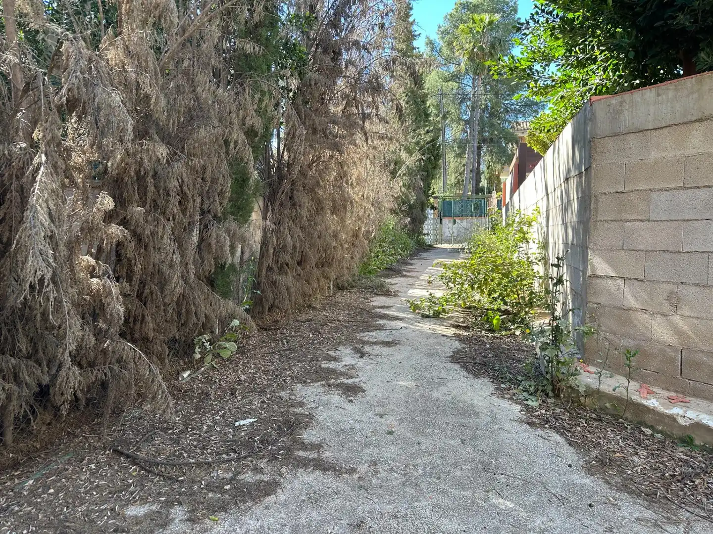 Vista exterior de Casa o xalet en venda en Murcia amb Calefacció, Terrassa i Traster
