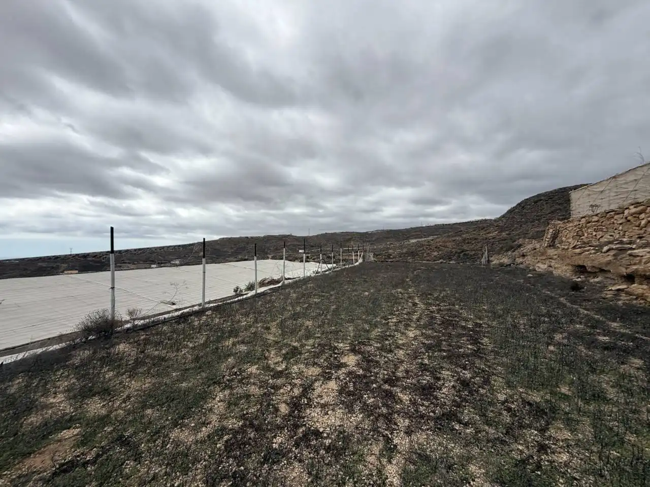 Rural land for sale in Viso, imagen 25