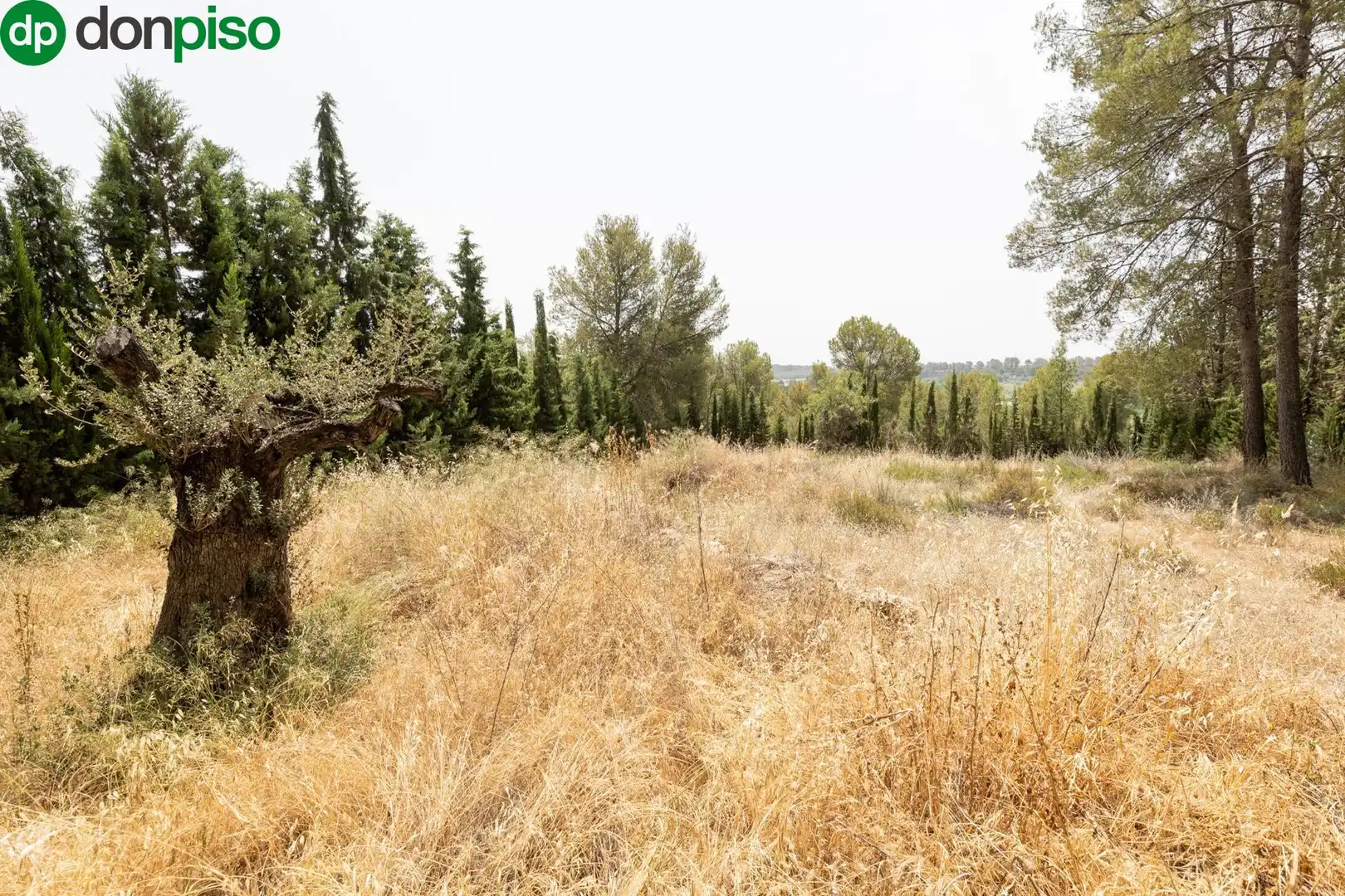 Terrenos y solares en venta en Calle de los Poetas Populares 1