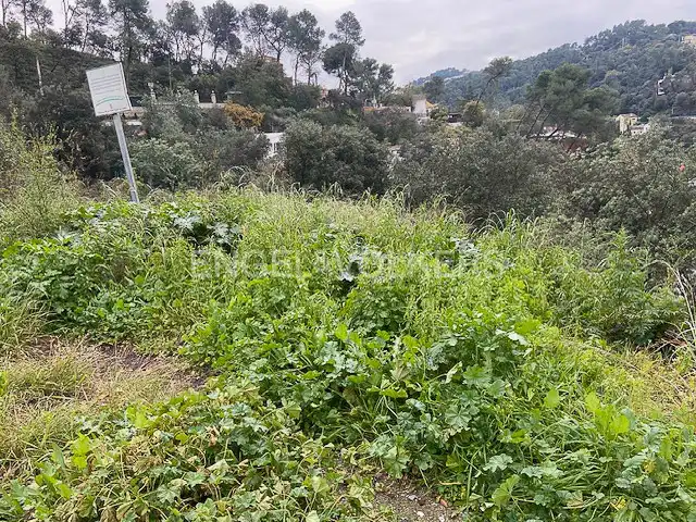 Terreno residencial en venta en La Floresta, imagen 4