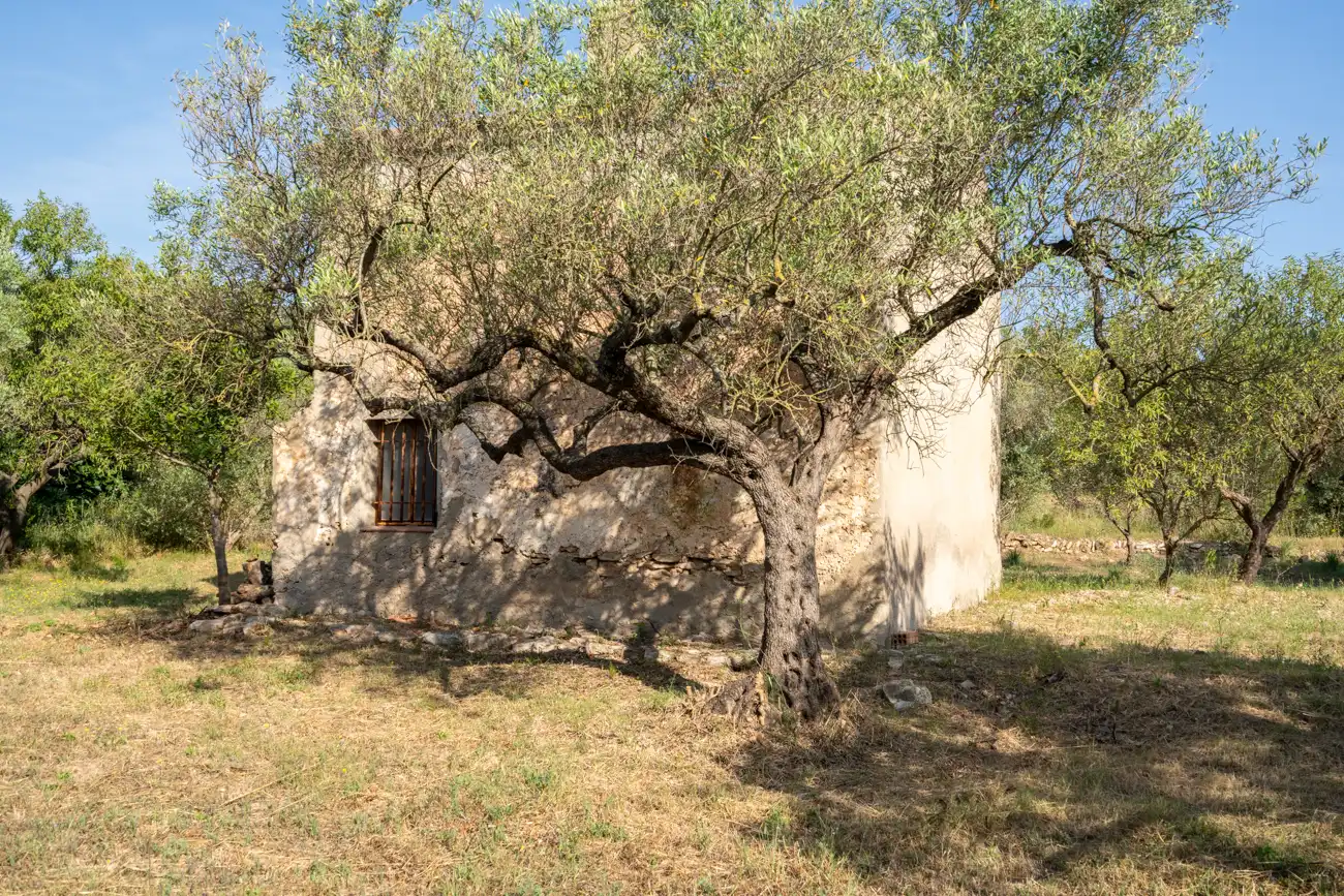 Vista exterior de Terreno en venta en Aldover