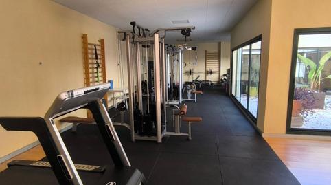 Foto 5 de Planta baja en venta en Villanueva del Río Segura, Murcia