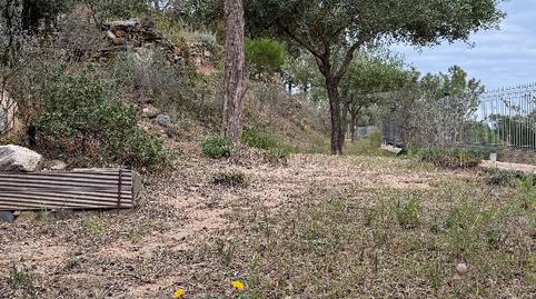 Photo 5 of House or chalet for sale in Carrer Rec de Boets, El Port de la Selva, Girona