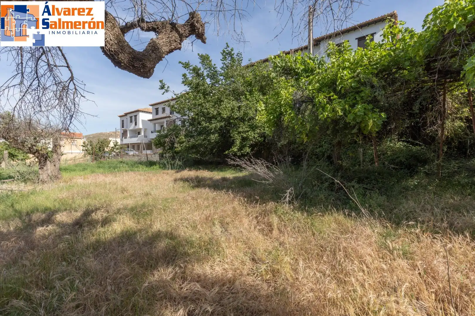 Lands and plots for sale in Carretera de Maitena, imagen 4