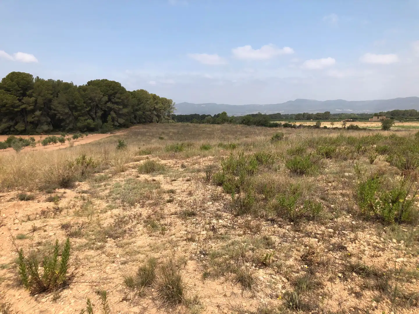 Terreno rústico en venta en Vila-rodona, imagen 6