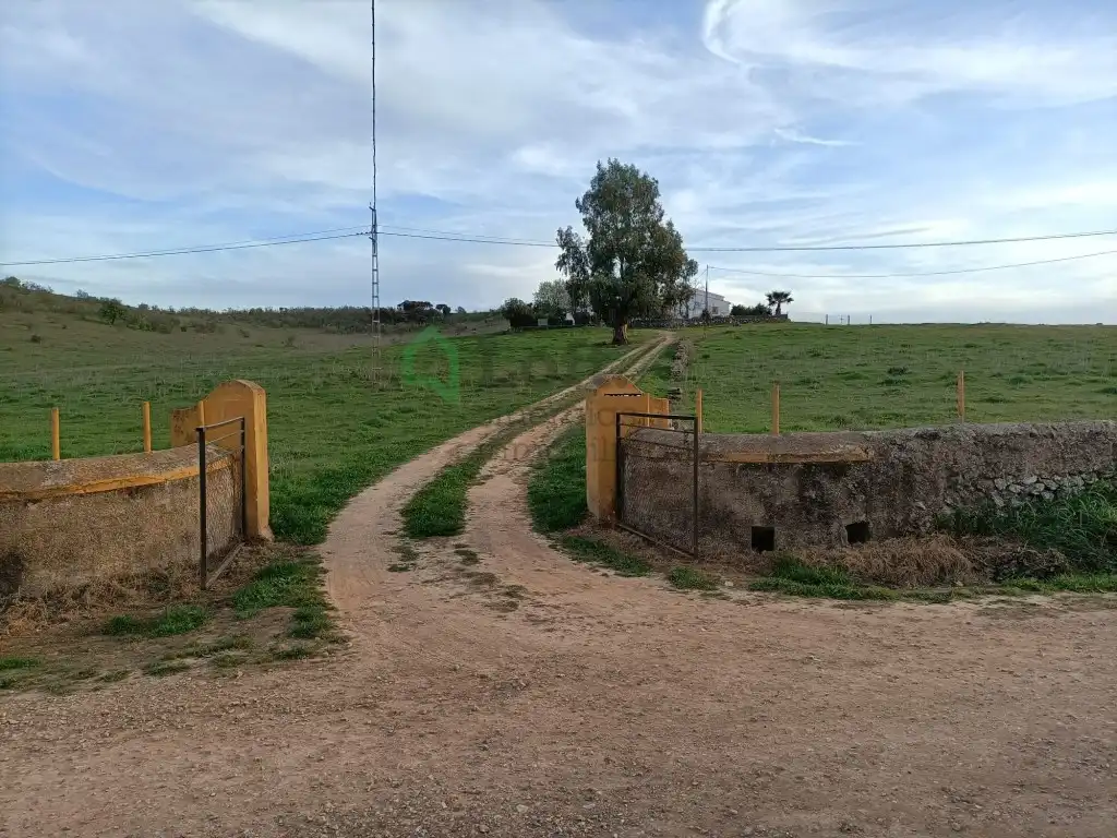 Casa o xalet en venda en Olivenza amb Forn i Rentadora