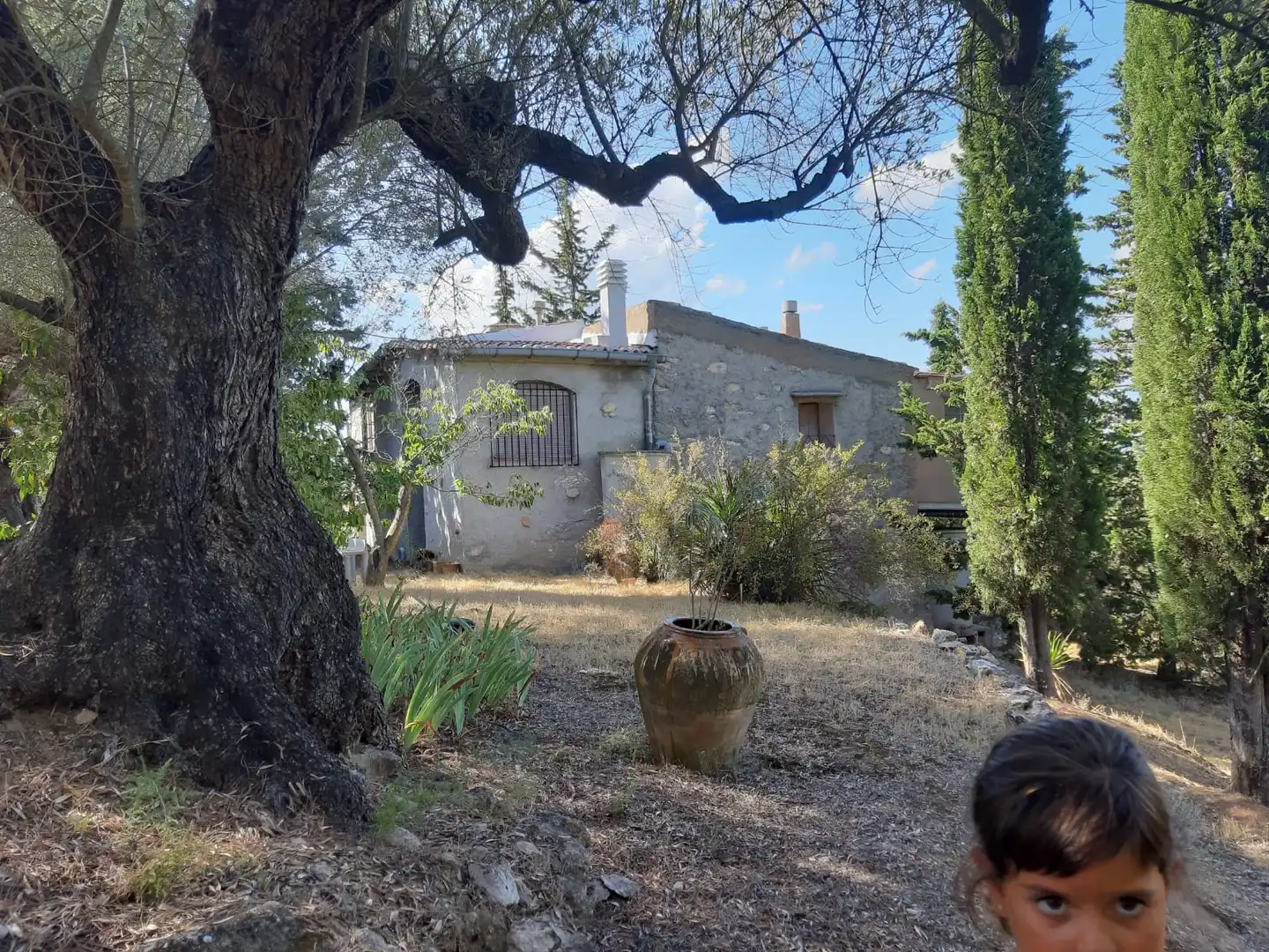 Rural land for sale in Carrer de la Muntanya, imagen 70