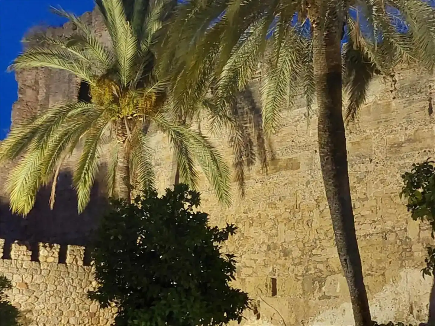 Vista exterior de Terreno en venta en Marbella