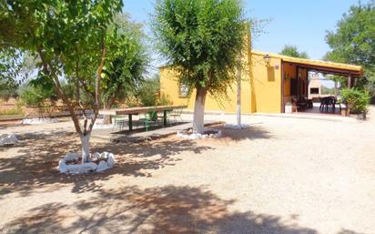 Garden of House or chalet for sale in Valdepeñas  with Swimming Pool