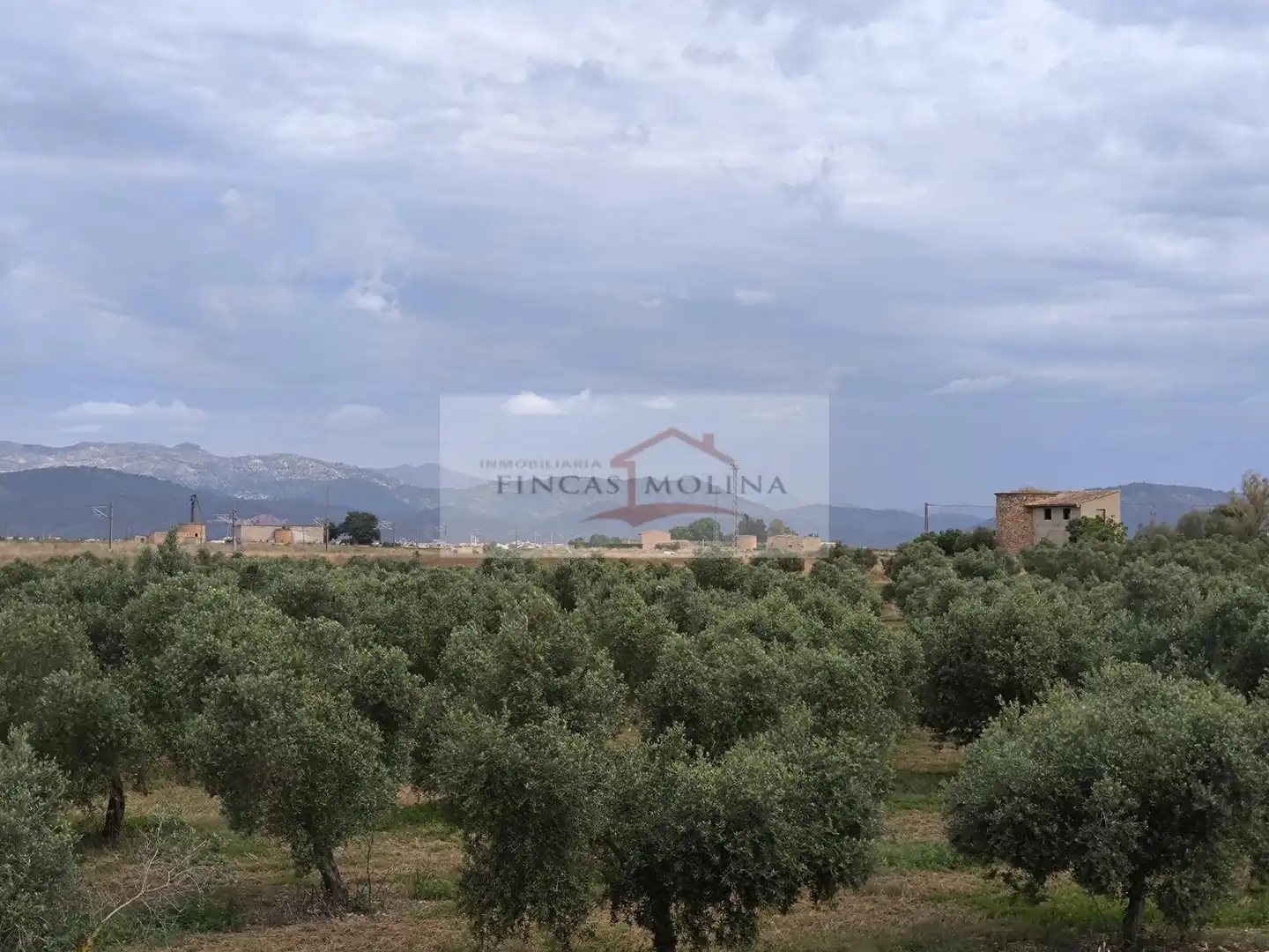 Terrenys i solars en venda a Sa Pobla