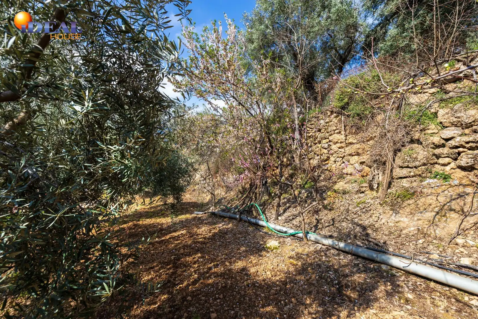 Casa o chalet en venta en Güéjar Sierra con Jardín privado, Trastero y Piscina