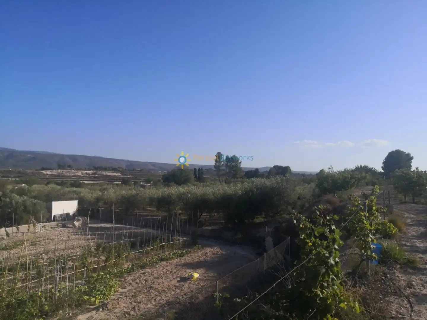 Finca rústica en venta en Albaida con Jardín privado y Trastero