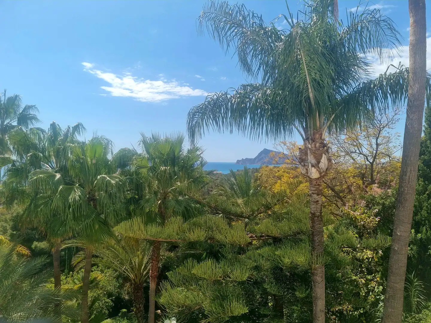 Vista exterior de Residencial en venda en Altea