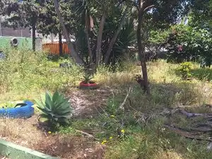 Villa mit Terrasse zum Verkauf in Carretera Marzagán A 30, imagen 30