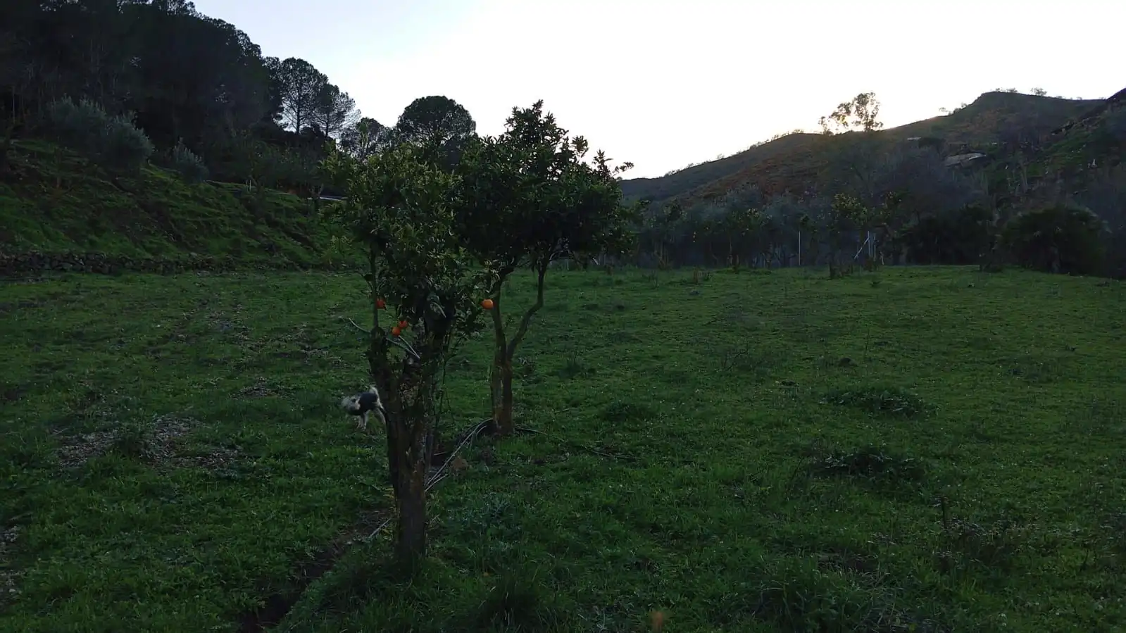 Casa rustica in vendita a Camino Los Guaperos , Paraje Majada Llana,, imagen 3