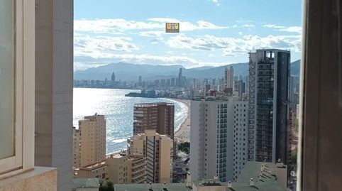 Photo 3 of Apartments for rent in Rincón Alto, Benidorm