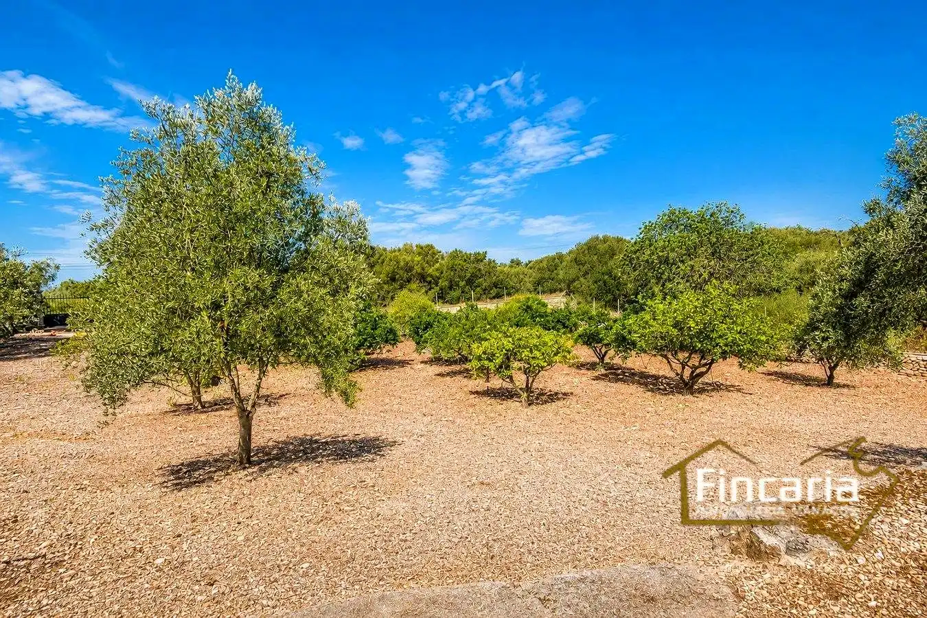 Country homes for sale in Manacor  with Air Conditioner, Private garden and Terrace