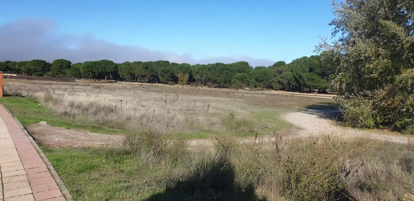 Terreni e lotti in vendita a Aldeamayor de San Martín, imagen 20