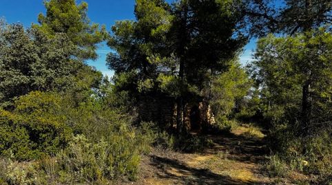 Foto 3 de Terreny en venda a Avenida Virgen de Gracia, 17b, La Fresneda, Teruel