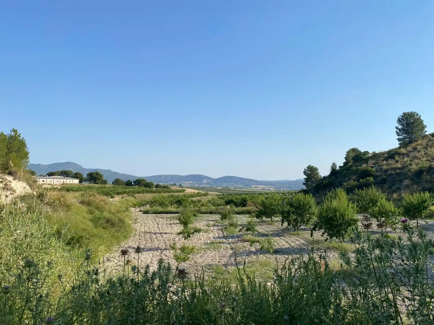 Villa à vendre à Moratalla, imagen 75