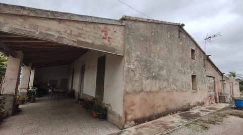 Foto 4 de Finca rústica en venda a La Algoda - Matola - Llano de San José, Elche / Elx