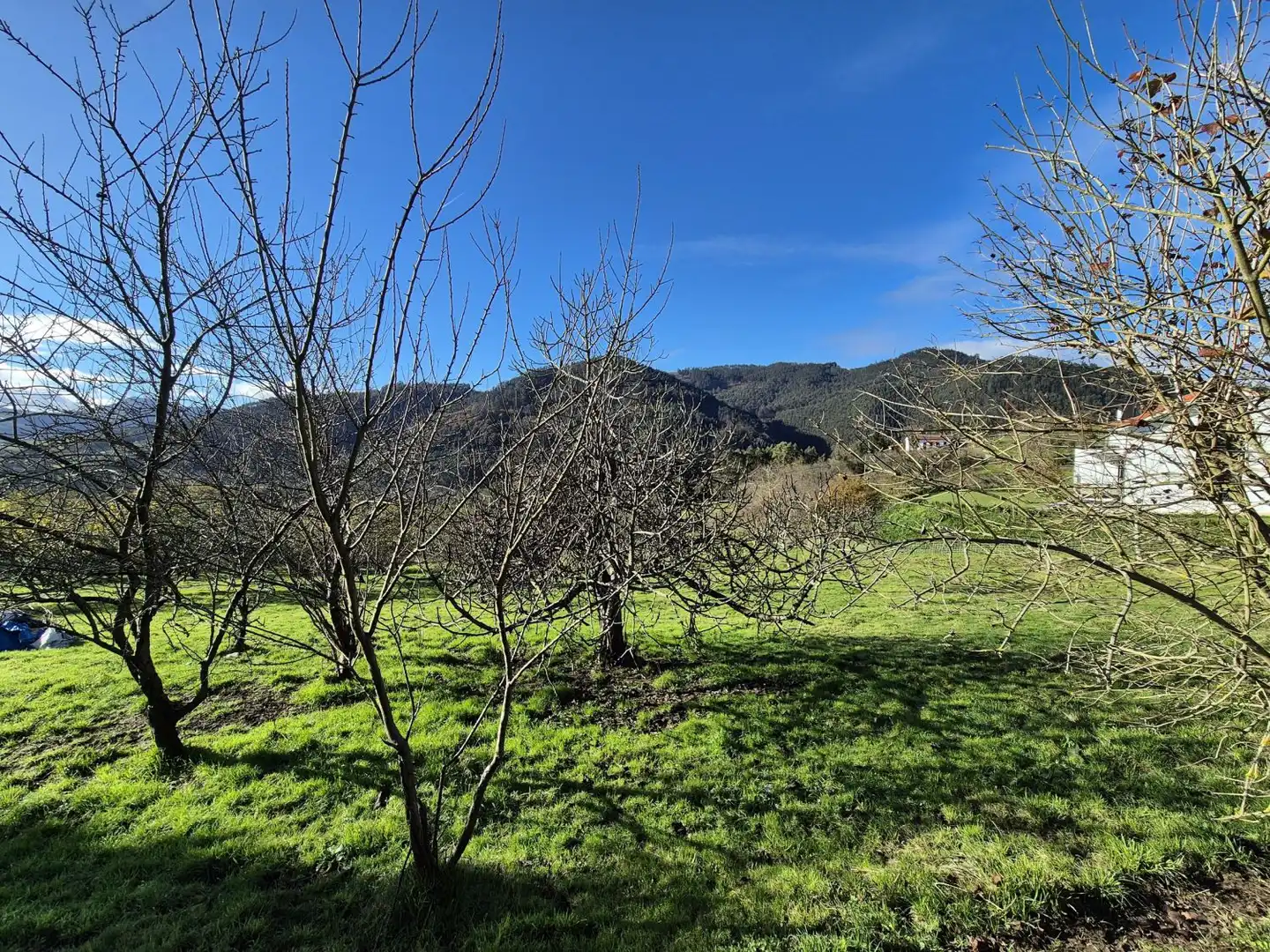 Residencial en venda en Candamo