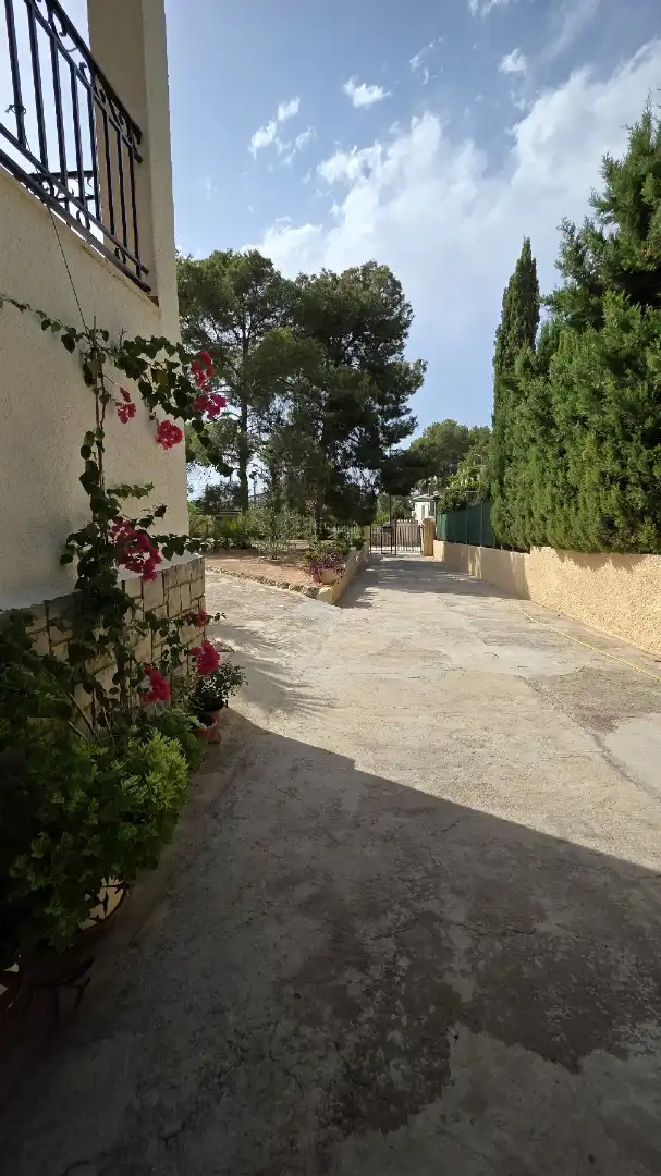 Jardí de Casa o xalet en venda en Bétera amb Jardí privat, Terrassa i Traster
