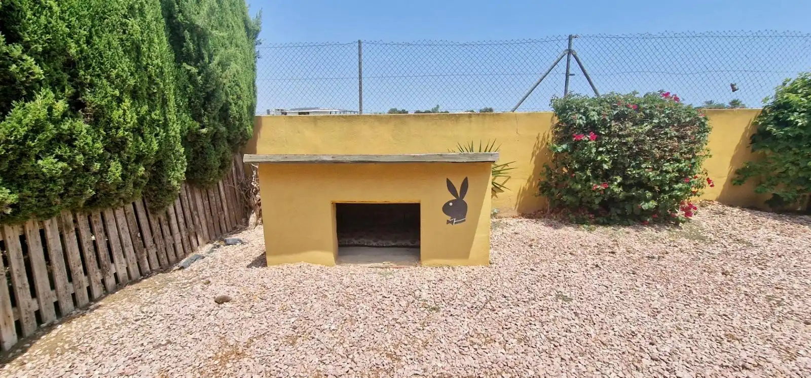 Garden of Houses for sale in Catral  with Private garden, Terrace and Swimming Pool