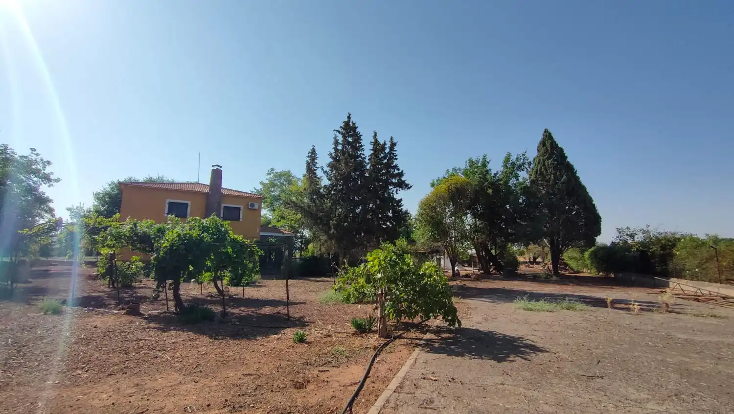 Casa rústica en venda a Valdepeñas, imagen 18