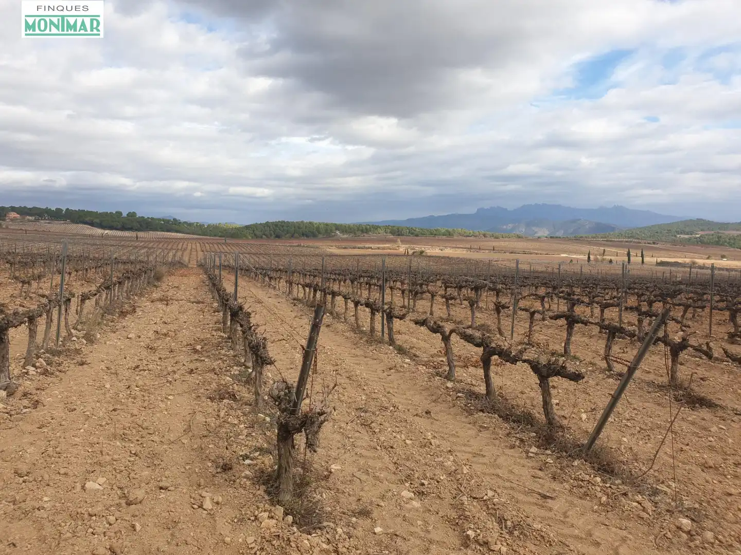 Finca rústica en venda en Vilafranca del Penedès