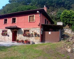 Vista exterior de Casa o xalet en venda en Amieva amb Terrassa