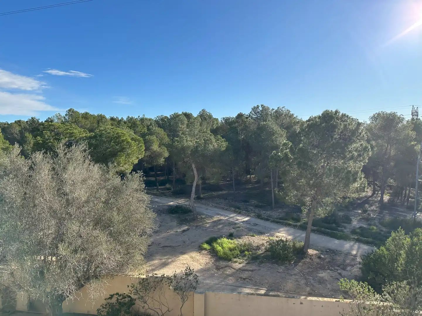 Houses for sale in Carrer Benifaió, Entrepinos