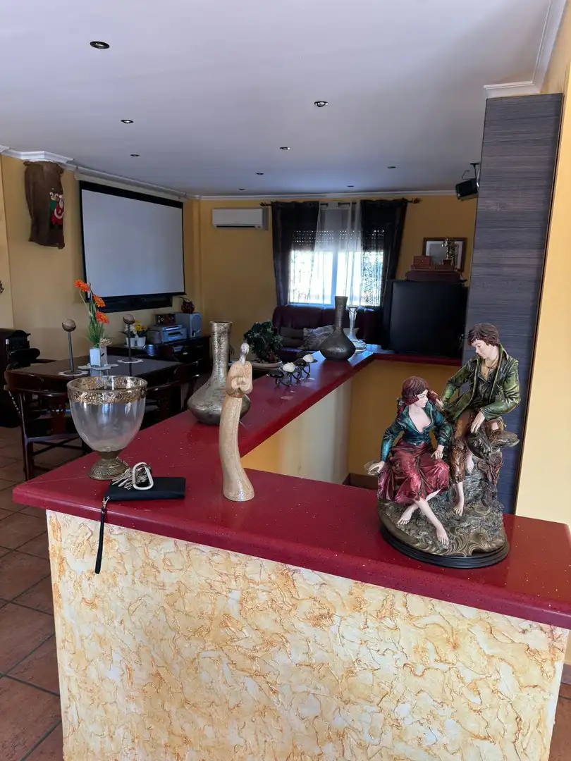Xalet amb terrassa en venda a Calle Ruinas de Petra, imagen 16