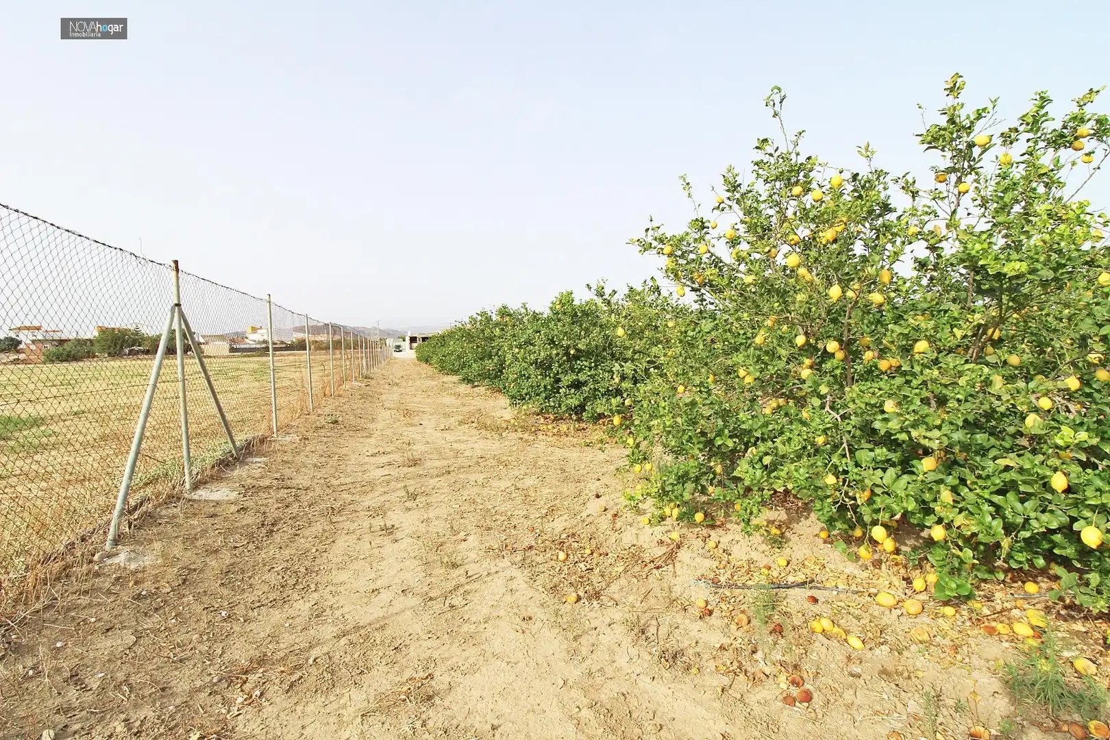 Finca rústica en venta en Málaga