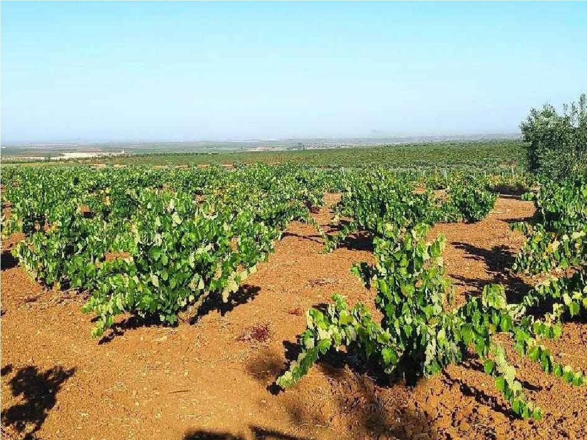 Country house for sale in Santa Marta