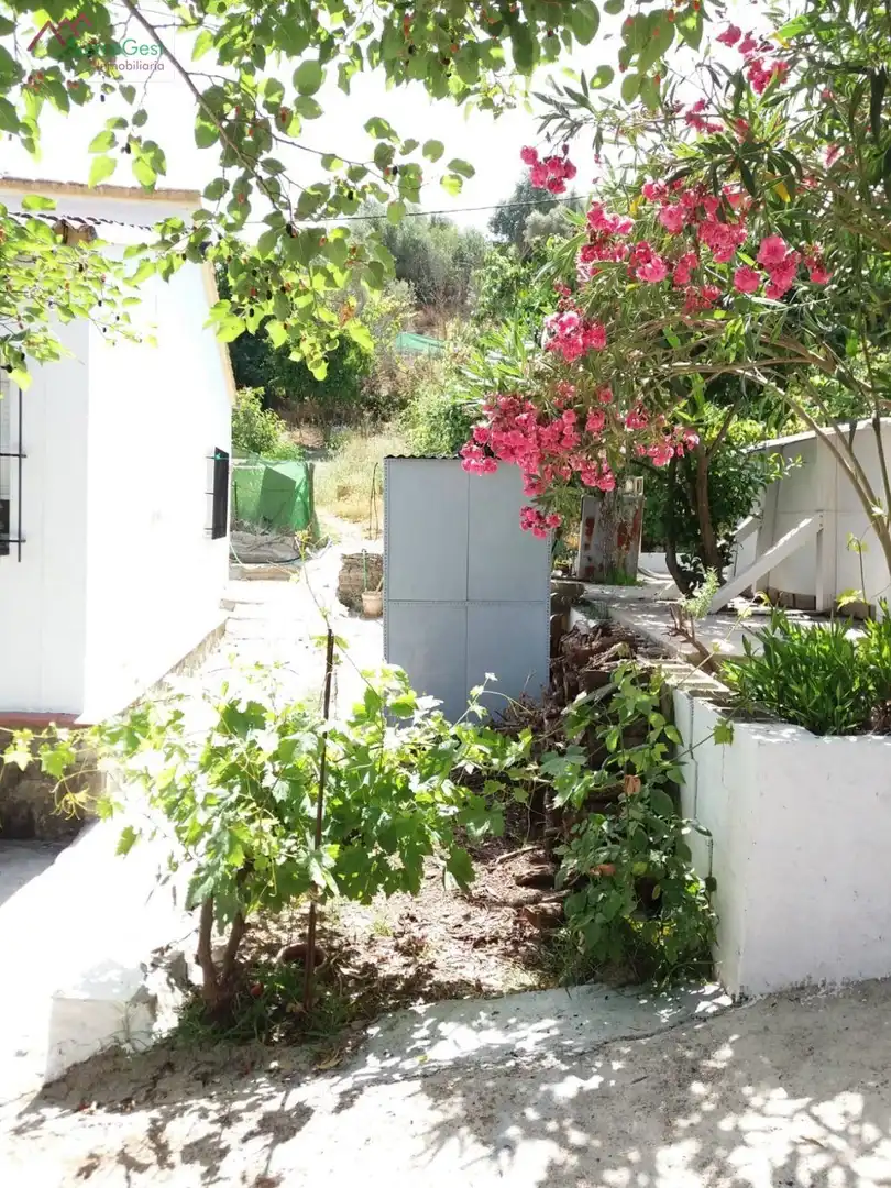 Terreni e lotti in vendita a Benaocaz, imagen 14