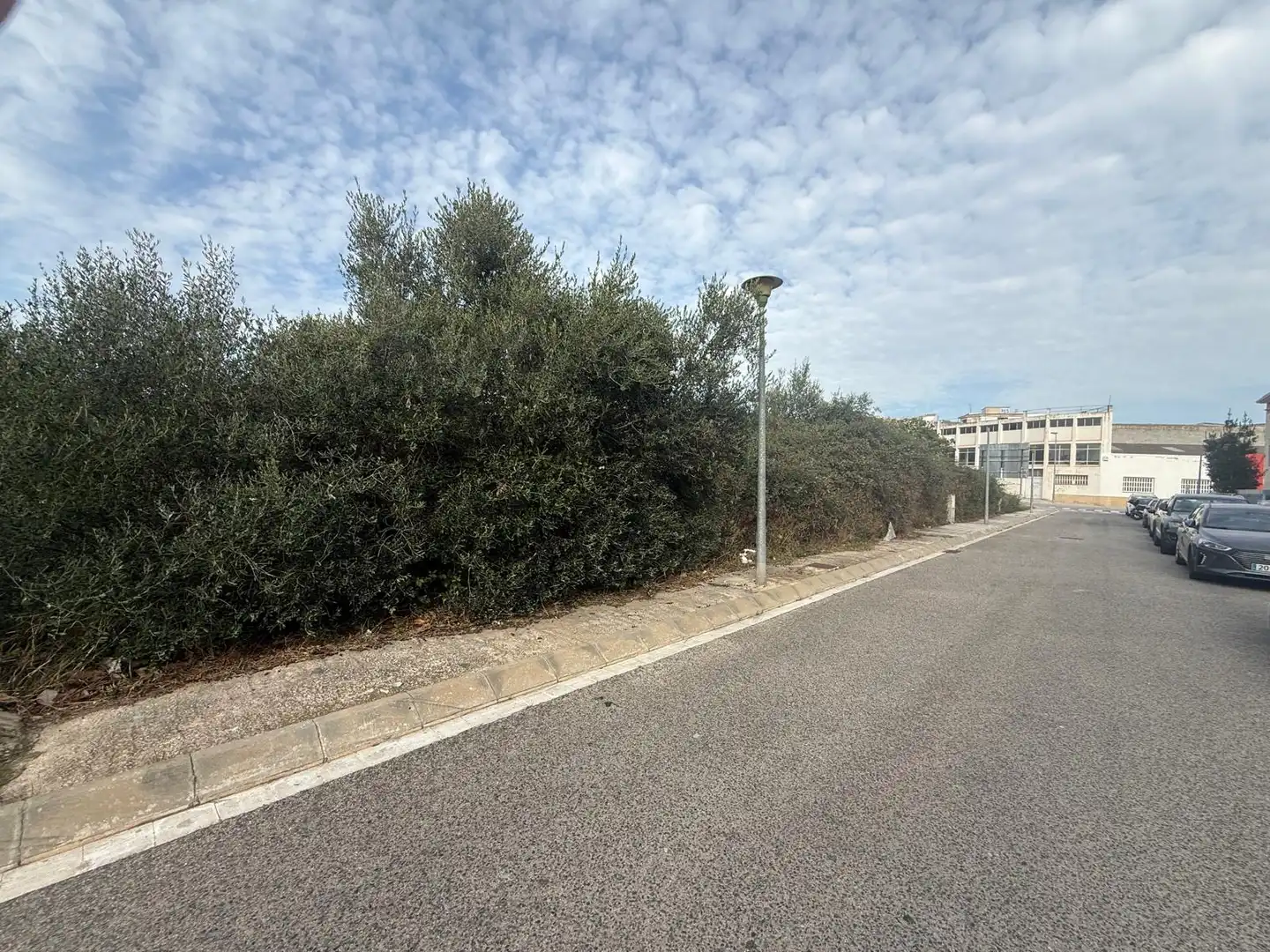 Wohnbaugrundstück zum Verkauf in Carrer Francesc de Riera 6, imagen 12