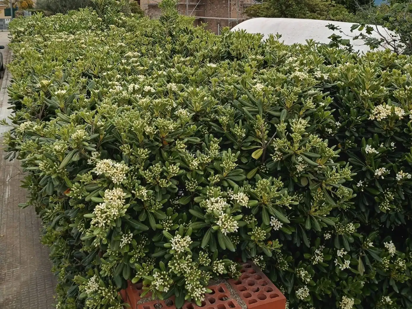 Terreno residencial en venta en Urbanitzacio Portugal 97C, imagen 3