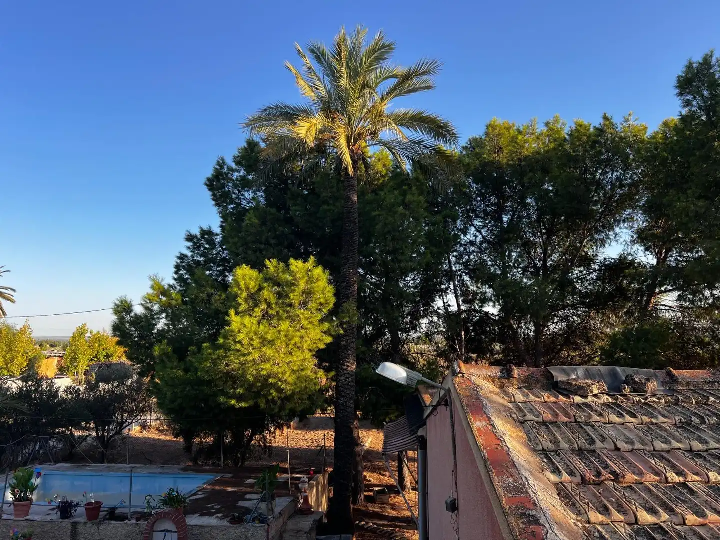 Jardí de Casa o xalet en venda en Elche / Elx amb Jardí privat, Terrassa i Traster
